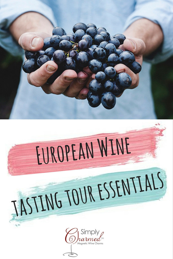 European Wine Tasting Tour Essentials