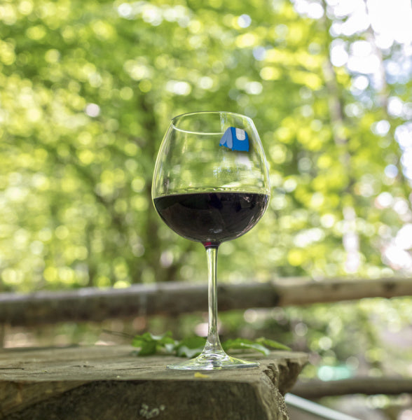 camping magnetic wine charms