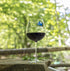 camping magnetic wine charms