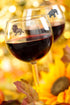 wine charms zoo collection