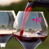 Turtle Wine Glass Charms