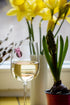 cute wine charms