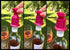 wine stopper pourer
